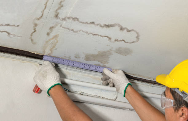 Reliable Mold Remediation contractor in Taylorsville, NC by Water Damage Irwin
